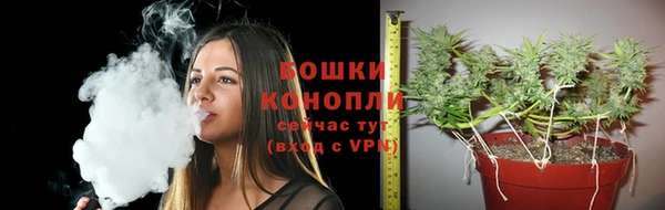 ГАЛЛЮЦИНОГЕННЫЕ ГРИБЫ Пролетарск
