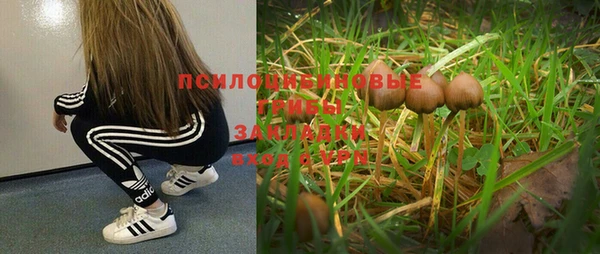 дурь Абинск