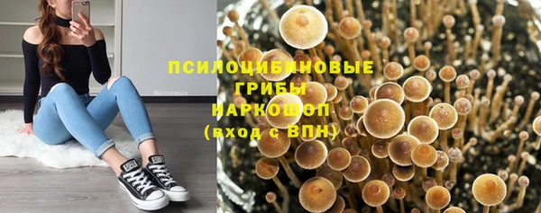 дурь Абинск