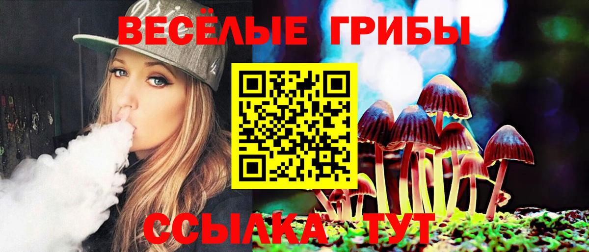 Псилоцибиновые грибы мицелий Миллерово