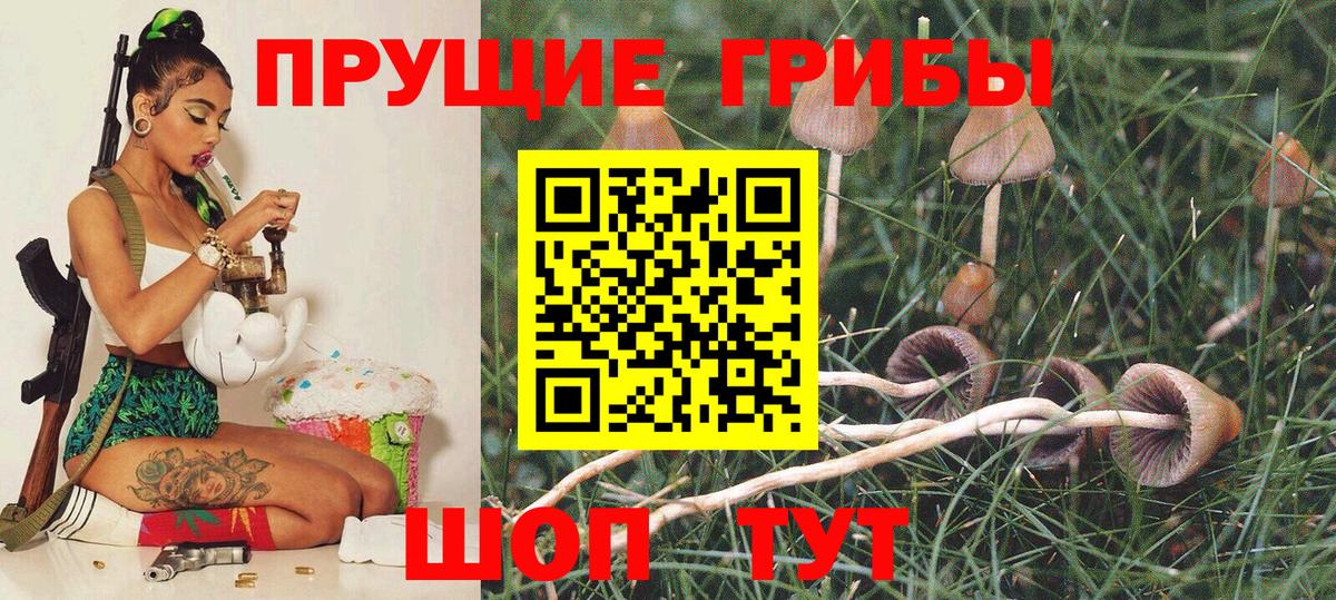 Галлюциногенные грибы прущие грибы  Псилоцибиновые грибы GOLDEN TEACHER  Миллерово  Вход с VPN 